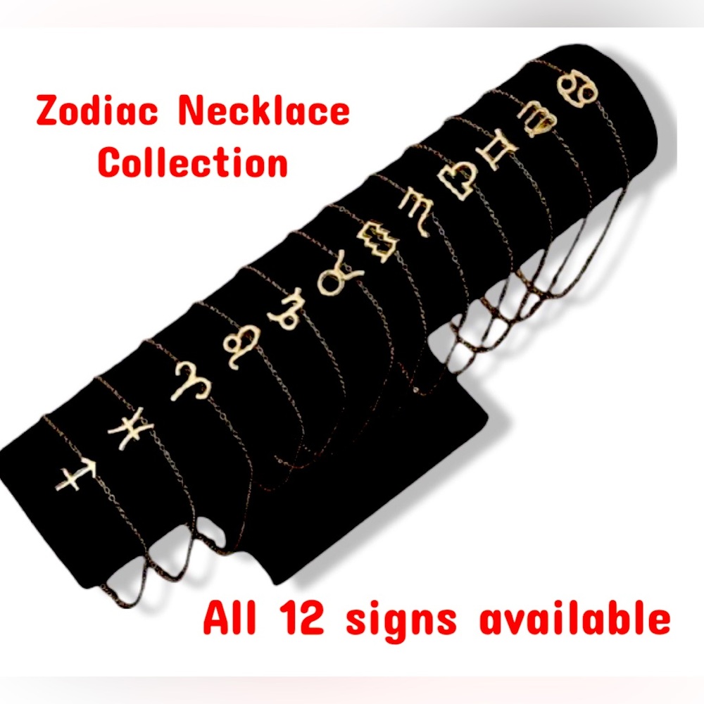 Zodiac sign necklace.